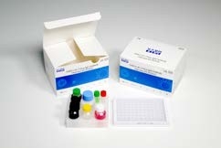 96 টেস্ট 60 মিনিট IgG Elisa Kit COVID-19 টেস্ট মানব সিরাম নমুনা