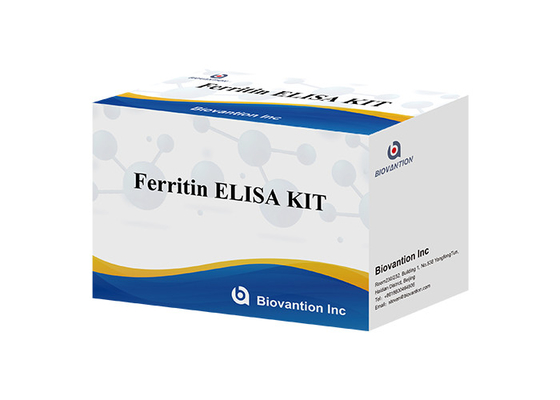 পরীক্ষাগার বা হাসপাতালের জন্য উচ্চ নির্ভুলতা Ferritin Elisa টেস্ট কিট