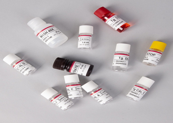 পরীক্ষাগার বা হাসপাতালের জন্য উচ্চ নির্ভুলতা Ferritin Elisa টেস্ট কিট