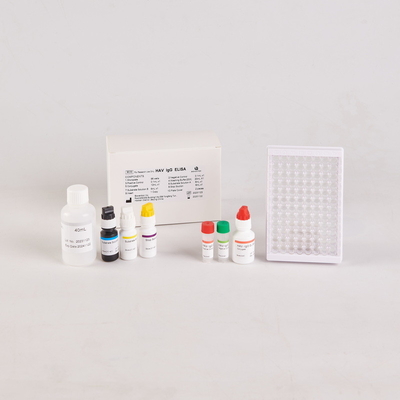 ইউআরও টেস্ট কিটের জন্য মানব TNF-α Elisa Kit/ মানব টিউমার নেক্রোসিস ফ্যাক্টর Elisa Kit