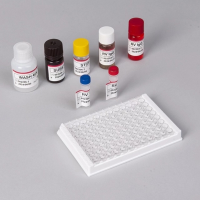 প্লাজমা নমুনার ধরন নির্ণয়ের জন্য RV-G Elisa টেস্ট কিট