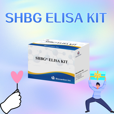 Biovantion SHBG টেস্ট সংবেদনশীল Elisa টেস্ট কিট