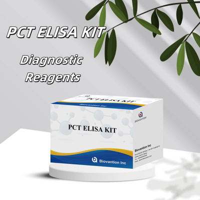 মানব সিরাম প্লাজমা জন্য মানব সনাক্তকরণ reagent জন্য PCT জন্য সনাক্তকরণ কিট