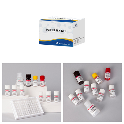 মানব সিরাম প্লাজমা জন্য মানব সনাক্তকরণ reagent জন্য PCT জন্য সনাক্তকরণ কিট