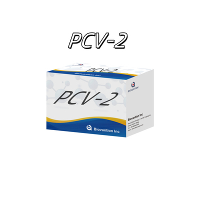 পশু অ্যান্টিবডিগুলির জন্য WB/S/P PCV-2 ELISA পরীক্ষা
