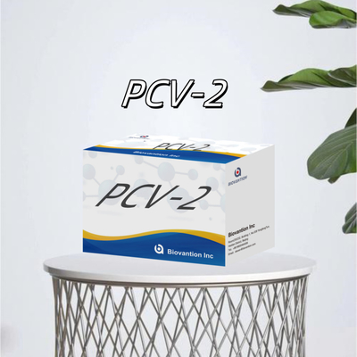 পশু অ্যান্টিবডিগুলির জন্য WB/S/P PCV-2 ELISA পরীক্ষা