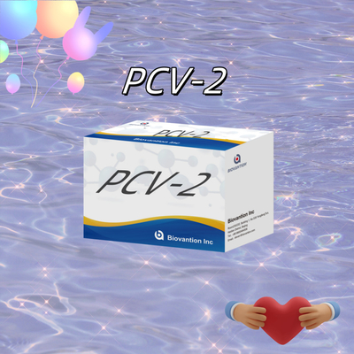 পশু অ্যান্টিবডিগুলির জন্য WB/S/P PCV-2 ELISA পরীক্ষা