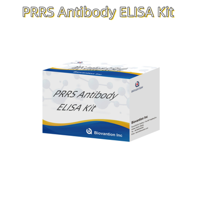 পশুদের জন্য ELISA পরীক্ষা PRRSV গরু PRRS অ্যান্টিবডি অ্যান্টিবডি পশুচিকিত্সক রিএজেন্ট ivd