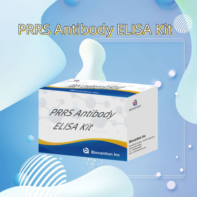 পশুদের জন্য ELISA পরীক্ষা PRRSV গরু PRRS অ্যান্টিবডি অ্যান্টিবডি পশুচিকিত্সক রিএজেন্ট ivd