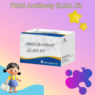 পশুদের জন্য ELISA পরীক্ষা PRRSV গরু PRRS অ্যান্টিবডি অ্যান্টিবডি পশুচিকিত্সক রিএজেন্ট ivd