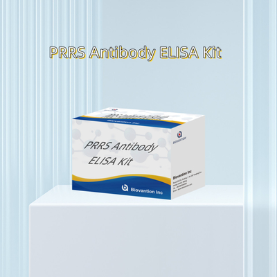 পশুদের জন্য ELISA পরীক্ষা PRRSV গরু PRRS অ্যান্টিবডি অ্যান্টিবডি পশুচিকিত্সক রিএজেন্ট ivd