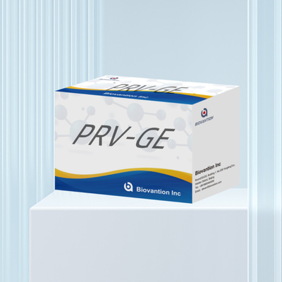 পশু সনাক্তকরণ রিএজেন্ট PRV-GE অ্যান্টিবডি ELISA কিটের জন্য সনাক্তকরণ কিট