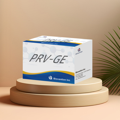 পশু সনাক্তকরণ রিএজেন্ট PRV-GE অ্যান্টিবডি ELISA কিটের জন্য সনাক্তকরণ কিট