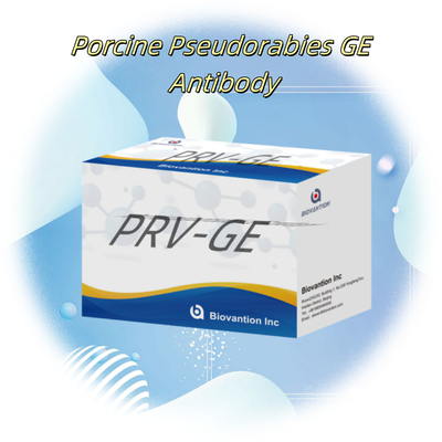 পশু সনাক্তকরণ রিএজেন্ট PRV-GE অ্যান্টিবডি ELISA কিটের জন্য সনাক্তকরণ কিট