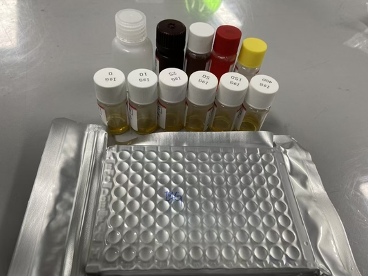 রাট Bcl-2 সেরাম পদ্ধতি ELISA নমুনা প্রকার সেরাম ELISA RUO টেস্ট কিট 98% নির্দিষ্টতা সহ