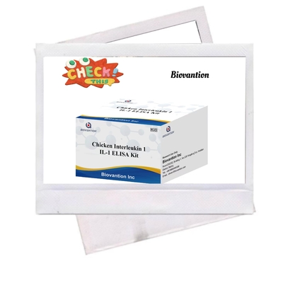 IL 1 ELISA টেস্ট কিট Interleukin-1 মানব সিরাম এবং প্লাজমা ইমিউনোএসেজ