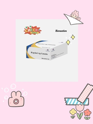H. Pylori Ag র্যাপিড টেস্ট ক্যাসেট ইন ভিট্রো ডায়াগনস্টিক রিএজেন্ট (আইভিডি রিএজেন্টস)