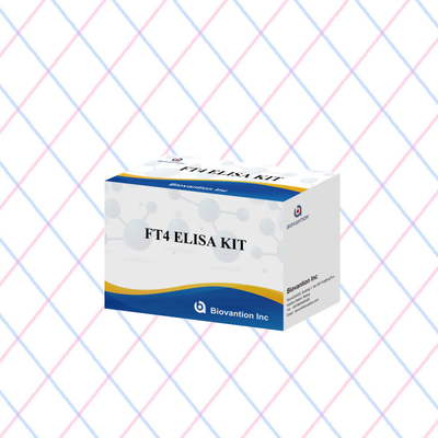FT4 এলিসা কিট 95% সংবেদনশীলতা ইন ভিট্রো পরীক্ষার রিএজেন্ট মানব ব্যবহারের জন্য