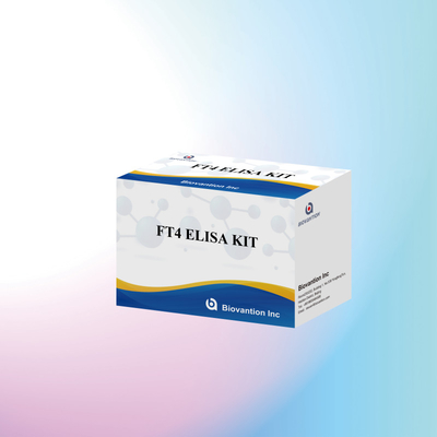 FT4 এলিসা কিট 95% সংবেদনশীলতা ইন ভিট্রো পরীক্ষার রিএজেন্ট মানব ব্যবহারের জন্য
