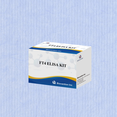 FT4 এলিসা কিট 95% সংবেদনশীলতা ইন ভিট্রো পরীক্ষার রিএজেন্ট মানব ব্যবহারের জন্য
