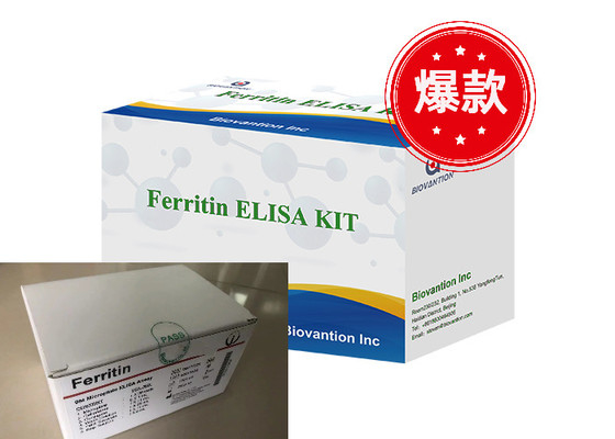 Ferritin Elisa টেস্ট কিট এনজাইম-সংযুক্ত পণ্য পরিবহন সময় সংক্ষিপ্ত উচ্চ মানের