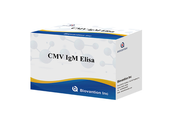 cMV IgM Elisa টেস্ট কিট এনজাইম-লিঙ্কড ইমিউনোসর্বেন্ট অ্যানালিসিস কিট ELISA অ্যাসে কিট