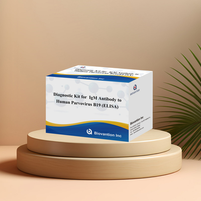 কারখানার সরাসরি বিক্রয় B19 ELISA কিট মানব পারভোভাইরাস B19 IgM অ্যান্টিবডি Elisa টেস্ট কিট 96T সঙ্গে