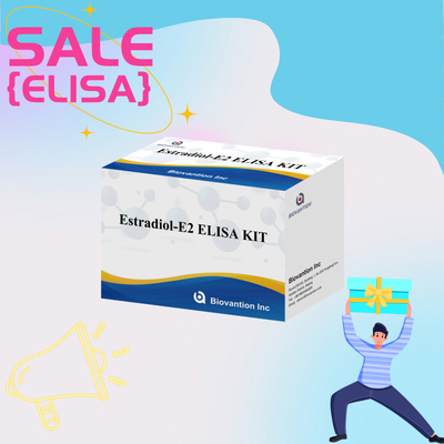 কারখানার দাম E2 ELISA টেস্ট কিট ইন ভিট্রো সনাক্তকরণ মেডিকেল সনাক্তকরণ উচ্চ নির্ভুলতা