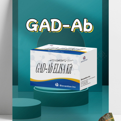 ELISA পরীক্ষা GAD গ্লুটামিক অ্যাসিড ডিকারবক্সিলেজ অ্যান্টিবডি মেডিকেল ডায়াগনস্টিক রিএজেন্ট মানুষের জন্য 96 পরীক্ষা