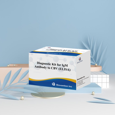 CBV igm ELISA KIT D ডায়াগনস্টিক রিএজেন্ট 18 মাস শেল্ফ লাইফ এনজাইম-লিঙ্কড ইমিউনোসর্বেন্ট অ্যাসেজ টেস্ট