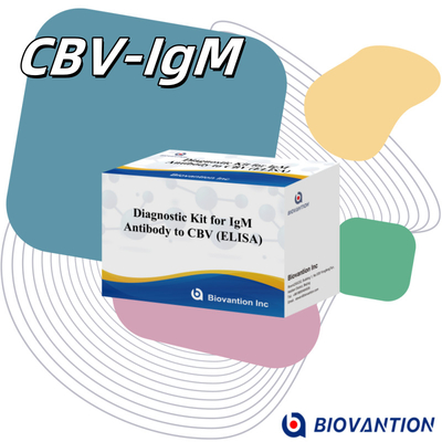 CBV igm ELISA KIT D ডায়াগনস্টিক রিএজেন্ট 18 মাস শেল্ফ লাইফ এনজাইম-লিঙ্কড ইমিউনোসর্বেন্ট অ্যাসেজ টেস্ট