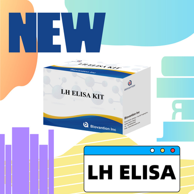 ডায়াগনস্টিক জন্য Biovantion LH ELISA টেস্ট কিট মানব Luteinizing হরমোন LH (Quantitative) হরমোন সনাক্ত