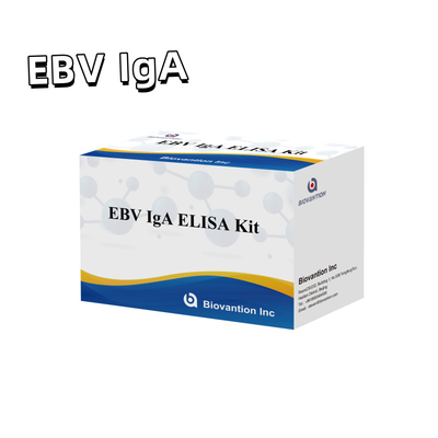 EBV HUMAN ELISA টেস্ট কিট 2-8°C সংবেদনশীলতা ডায়াগনস্টিক কিট EBV-EA এর জন্য IgA অ্যান্টিবডি জন্য
