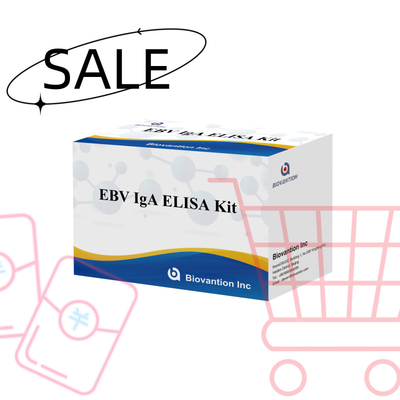 EBV HUMAN ELISA টেস্ট কিট 2-8°C সংবেদনশীলতা ডায়াগনস্টিক কিট EBV-EA এর জন্য IgA অ্যান্টিবডি জন্য