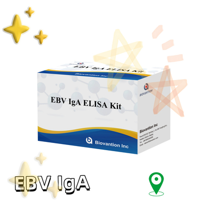 EBV HUMAN ELISA টেস্ট কিট 2-8°C সংবেদনশীলতা ডায়াগনস্টিক কিট EBV-EA এর জন্য IgA অ্যান্টিবডি জন্য
