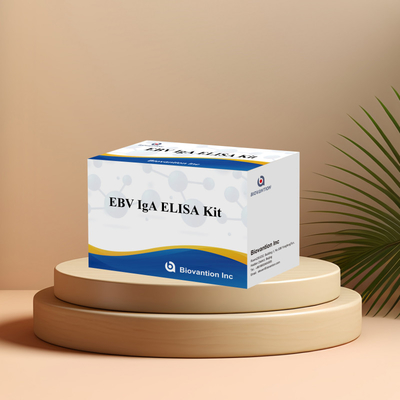 EBV HUMAN ELISA টেস্ট কিট 2-8°C সংবেদনশীলতা ডায়াগনস্টিক কিট EBV-EA এর জন্য IgA অ্যান্টিবডি জন্য