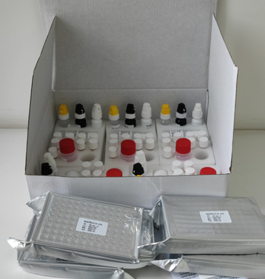 পরীক্ষাগার বা হাসপাতালের উচ্চ নির্ভুলতা H.Pylori IgG Elisa টেস্ট কিট