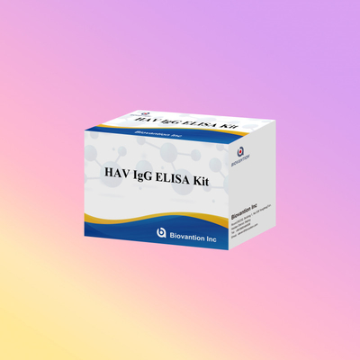 উচ্চ সংবেদনশীলতা HAV IgG ELISA কিট সঠিক হেপাটাইটিস এ ভাইরাস সনাক্তকরণ নির্ভরযোগ্য সিই সার্টিফাইড ক্লিনিকাল এবং গবেষণা ব্যবহারের জন্য