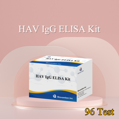 উচ্চ সংবেদনশীলতা HAV IgG ELISA কিট সঠিক হেপাটাইটিস এ ভাইরাস সনাক্তকরণ নির্ভরযোগ্য সিই সার্টিফাইড ক্লিনিকাল এবং গবেষণা ব্যবহারের জন্য