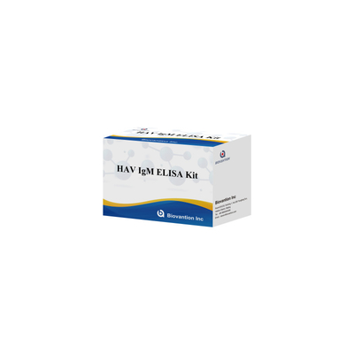 HAV IgM ELISA Kit উচ্চ সংবেদনশীলতা হেপাটাইটিস এ ভাইরাস সনাক্তকরণ ক্লিনিকাল পরীক্ষাগারগুলির জন্য নির্ভরযোগ্য সঠিক ডায়াগনস্টিক পরীক্ষা