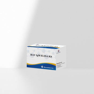 HAV IgM ELISA Kit উচ্চ সংবেদনশীলতা হেপাটাইটিস এ ভাইরাস সনাক্তকরণ ক্লিনিকাল পরীক্ষাগারগুলির জন্য নির্ভরযোগ্য সঠিক ডায়াগনস্টিক পরীক্ষা