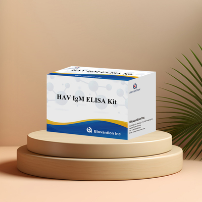 HAV IgM ELISA Kit উচ্চ সংবেদনশীলতা হেপাটাইটিস এ ভাইরাস সনাক্তকরণ ক্লিনিকাল পরীক্ষাগারগুলির জন্য নির্ভরযোগ্য সঠিক ডায়াগনস্টিক পরীক্ষা