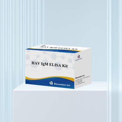 HAV IgM ELISA Kit উচ্চ সংবেদনশীলতা হেপাটাইটিস এ ভাইরাস সনাক্তকরণ ক্লিনিকাল পরীক্ষাগারগুলির জন্য নির্ভরযোগ্য সঠিক ডায়াগনস্টিক পরীক্ষা