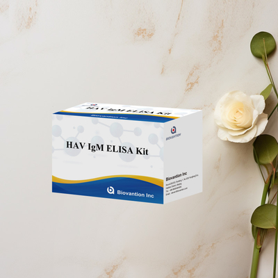 HAV IgM ELISA Kit উচ্চ সংবেদনশীলতা হেপাটাইটিস এ ভাইরাস সনাক্তকরণ ক্লিনিকাল পরীক্ষাগারগুলির জন্য নির্ভরযোগ্য সঠিক ডায়াগনস্টিক পরীক্ষা