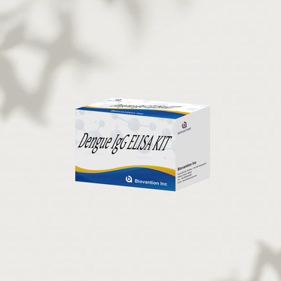 উচ্চ-কার্যকারিতা ডেঙ্গু IgG ELISA কিট 96 সংবেদনশীল এবং সঠিক ফলাফলের জন্য পরীক্ষা