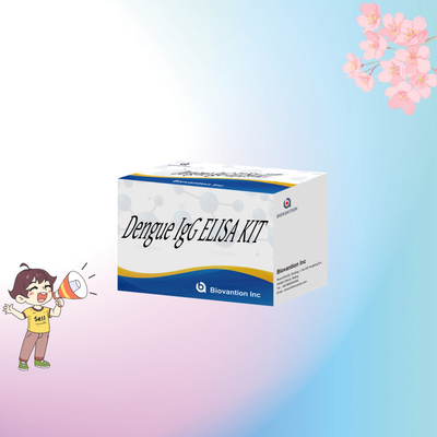 IVD ডায়াগনস্টিক রিএজেন্ট ডেঙ্গু IgG ELISA Kit 96 Human Serum Plasma Sensitivity >99%