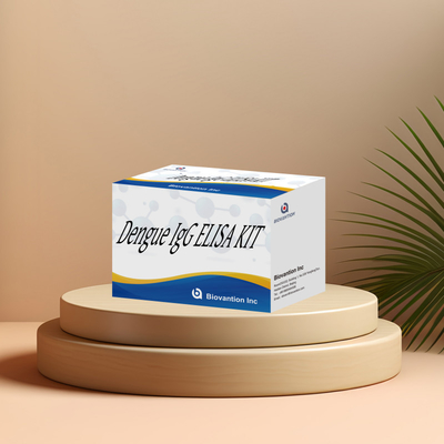 IVD ডায়াগনস্টিক রিএজেন্ট ডেঙ্গু IgG ELISA Kit 96 Human Serum Plasma Sensitivity >99%