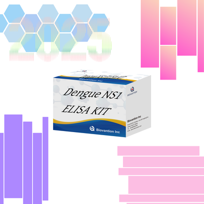 ১৮ মাসের শেলফ লাইফ ডেঙ্গু IgM ELISA টেস্ট কিট, উচ্চ সংবেদনশীলতা সহ এবং হাসপাতাল পরীক্ষাগার নির্ণয়ের জন্য প্রতি কিটে ৯৬টি টেস্ট