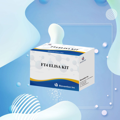 থাইরয়েড রোগের জন্য ৯৮% নির্দিষ্টতা এবং ৯৫% সংবেদনশীলতা সহ নির্ভুল FT4 এলিসা টেস্ট কিট (৯৬ টেস্ট)