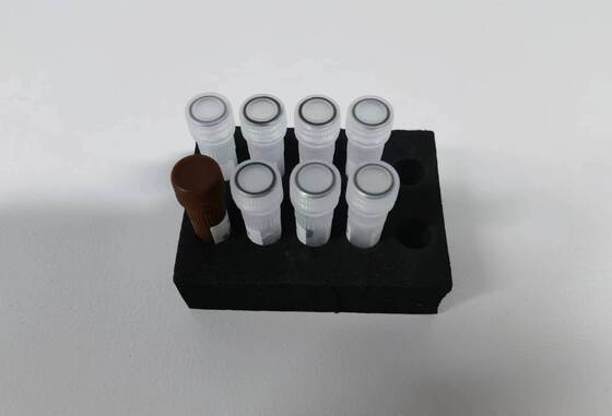 ডেঙ্গু পিসিআর টেস্ট উচ্চ মানের 48 পরীক্ষার সাথে সনাক্ত